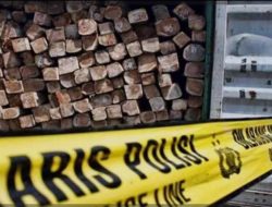 Aktivitas Pengangkutan Kayu di Latoma Meresahkan, Warga Keluhkan Kerusakan Jalan dan Pertanyakan Legalitas